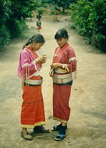 MOUNTAIN BIKING IN CHIANG MAI cnx014_5.jpg (13399 Byte)