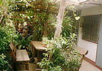 J.B. HOUSE Garden  (8.5 K)